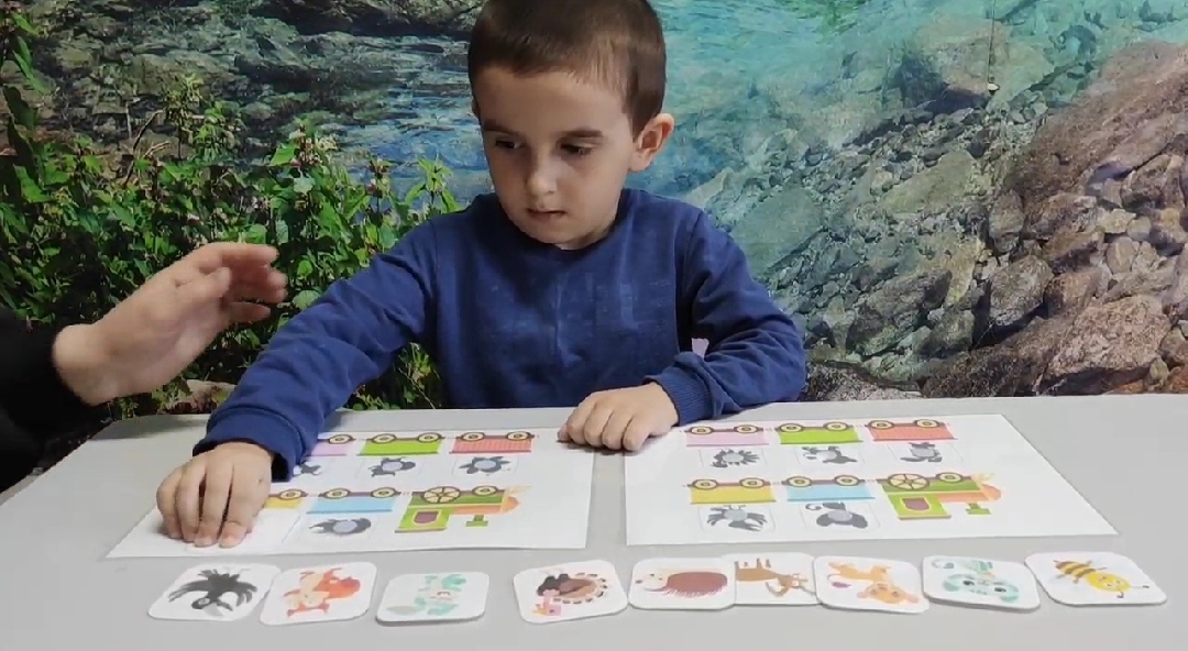 Индивидуальное психологическое занятие